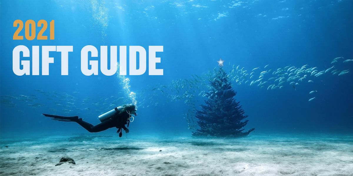 BARE Holiday Buyer's Guide 2021